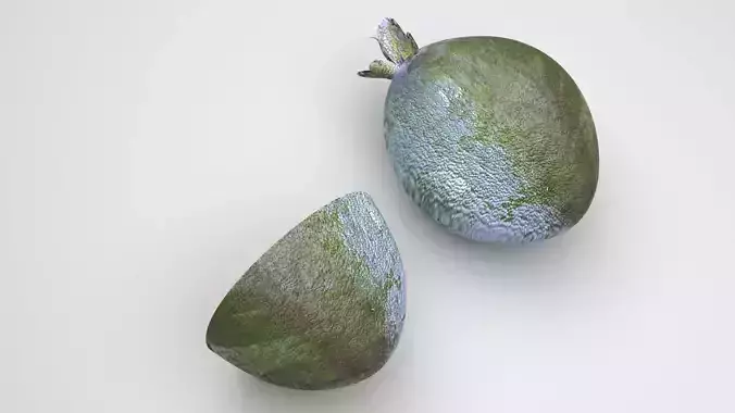 Feijoa 3D model 2