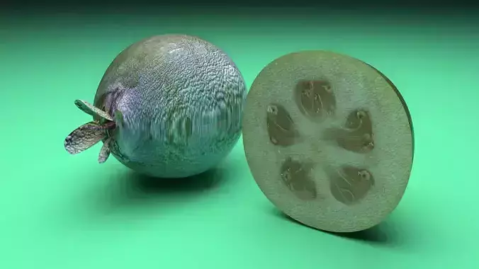 Feijoa 3D model 7