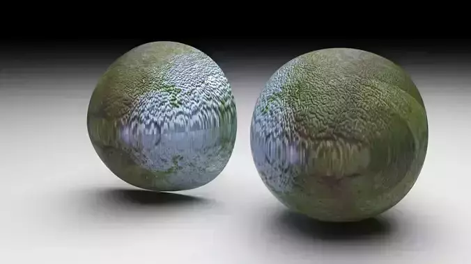 Feijoa 3D model 3