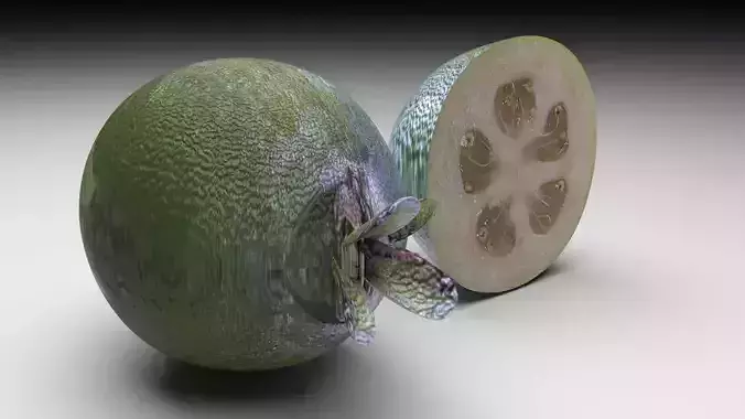Feijoa 3D model 5