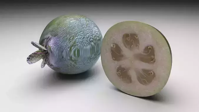 Feijoa 3D model 6
