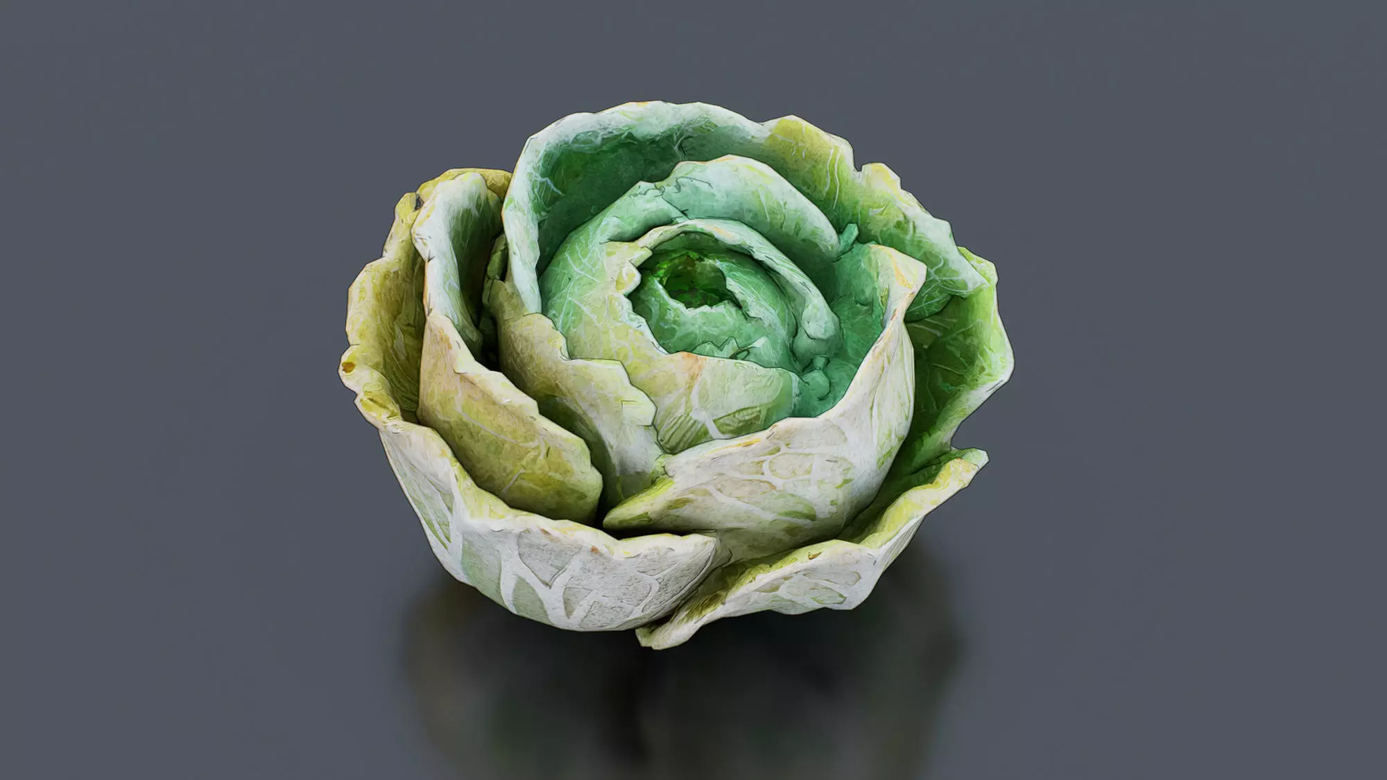 Common Cabbage Free low-poly 3D model