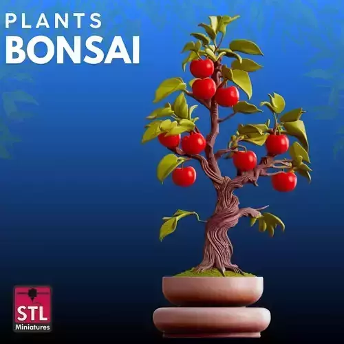 Bonsai fruit STL Artistic Nature 3D Model 3D print model