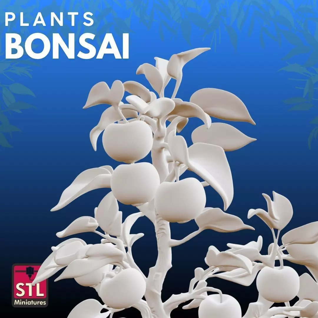 Bonsai fruit STL Artistic Nature 3D Model 3D print model_5
