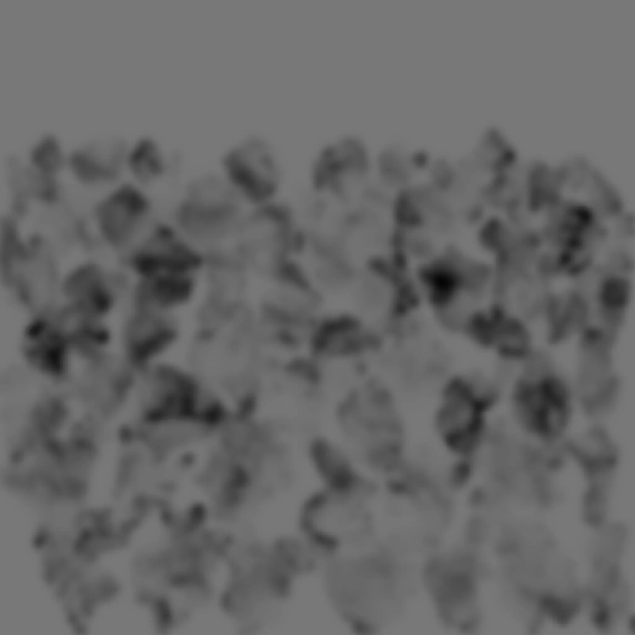 Coral red sea 3D model_9