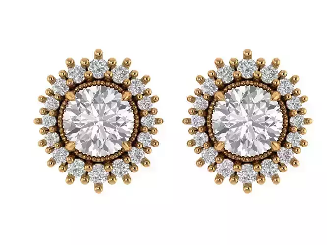 Round Elegant Earing