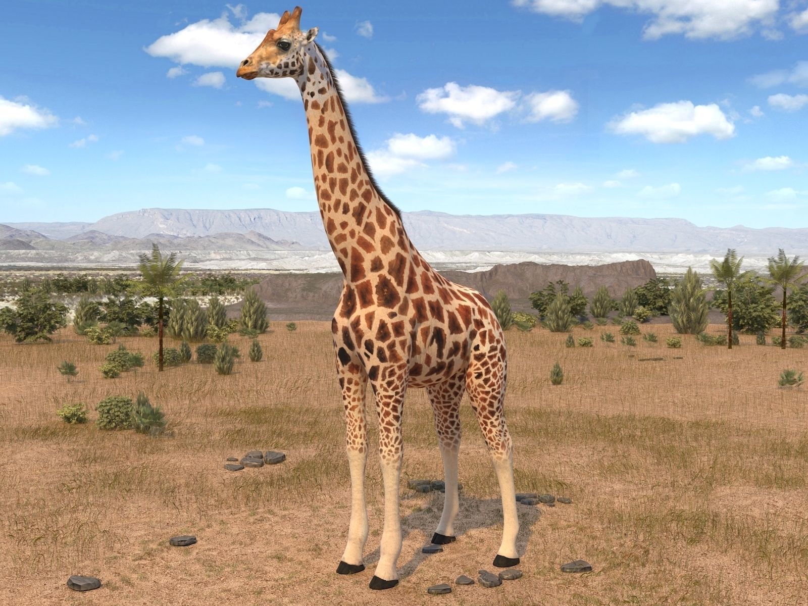Giraffe rigged for 3dsmax 3D model_8