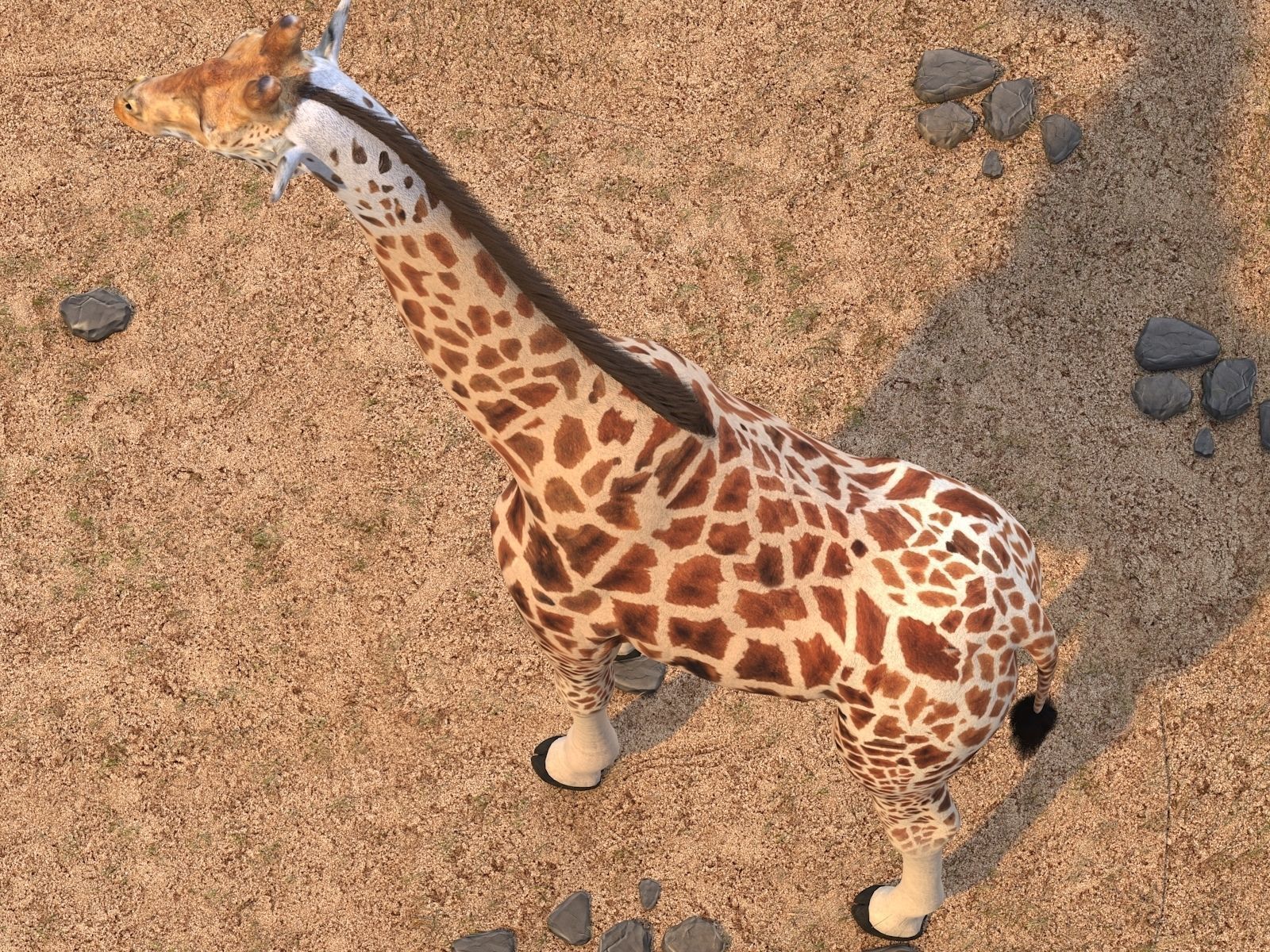 Giraffe rigged for 3dsmax 3D model_5