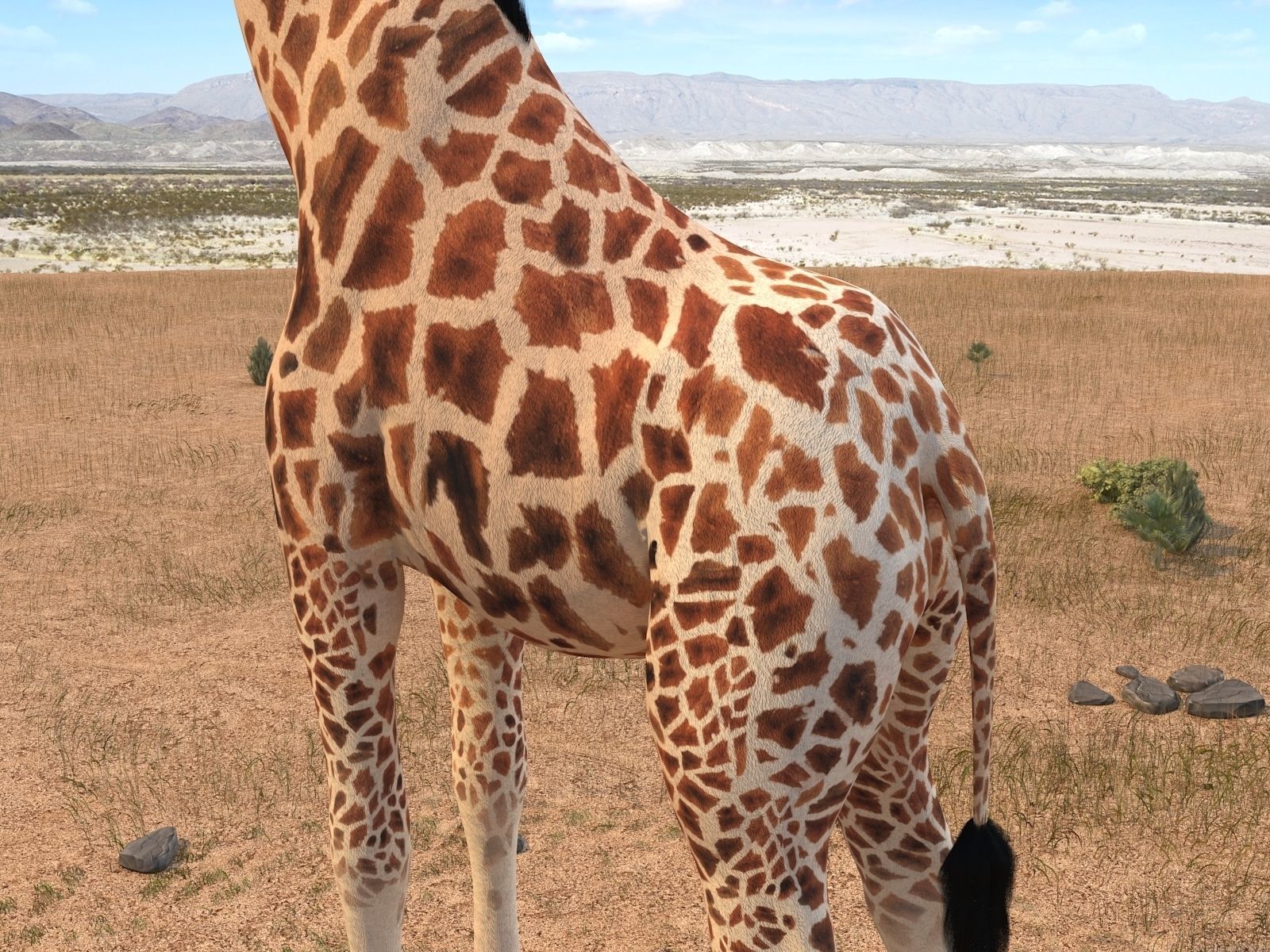 Giraffe rigged for 3dsmax 3D model_4