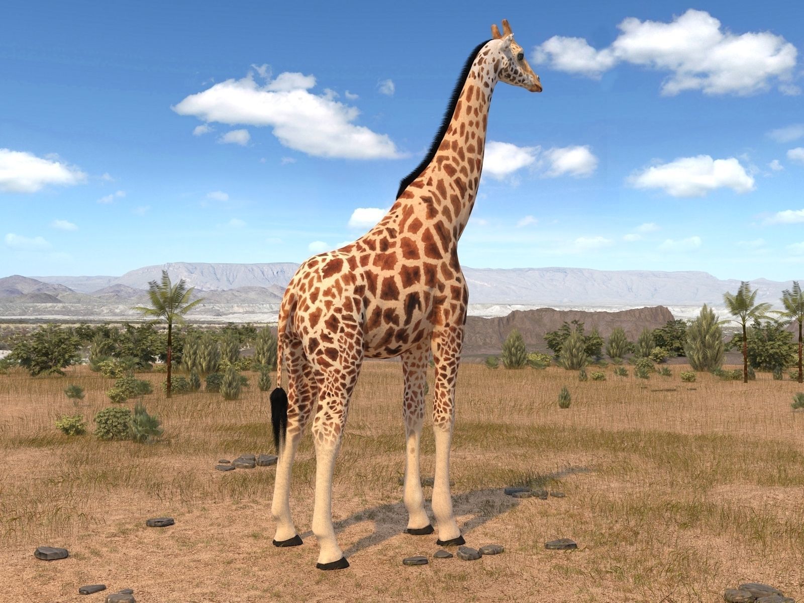 Giraffe rigged for 3dsmax 3D model_2