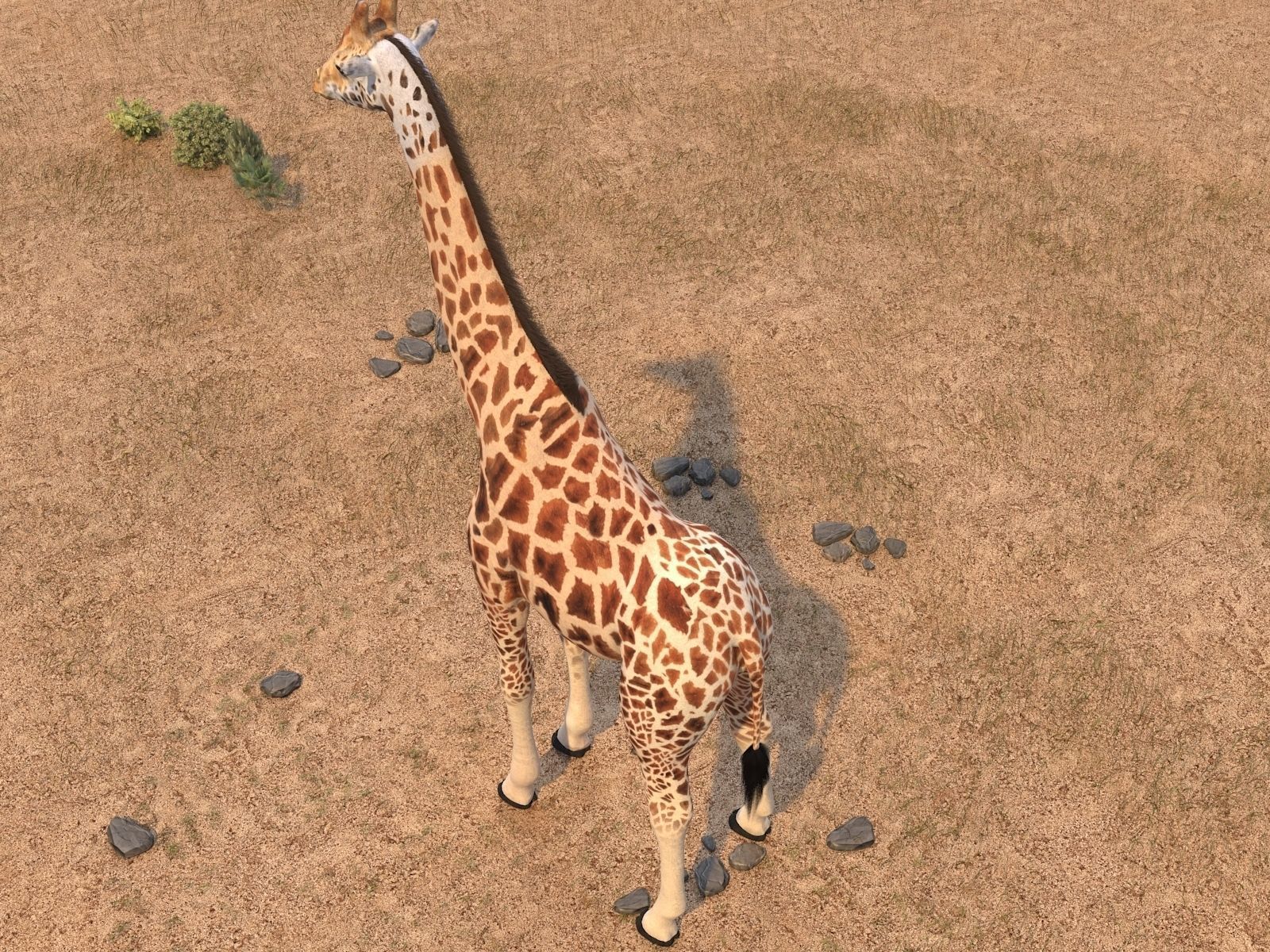 Giraffe rigged for 3dsmax 3D model_7