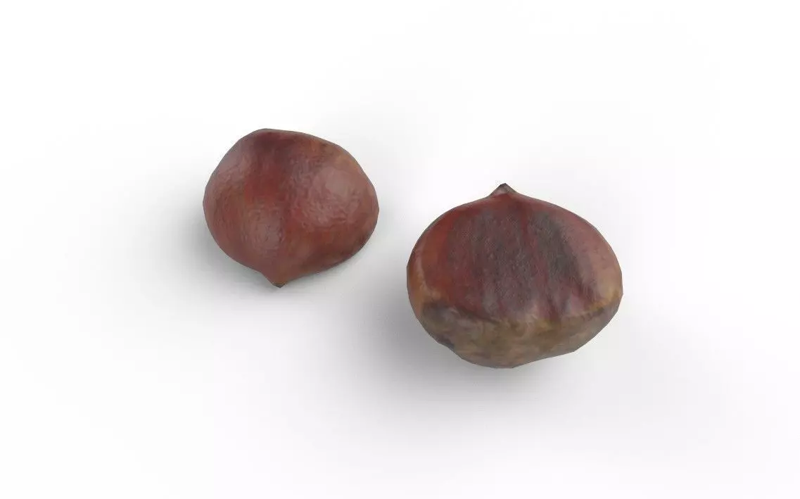 Chestnut M02 Low-poly 3D model_3