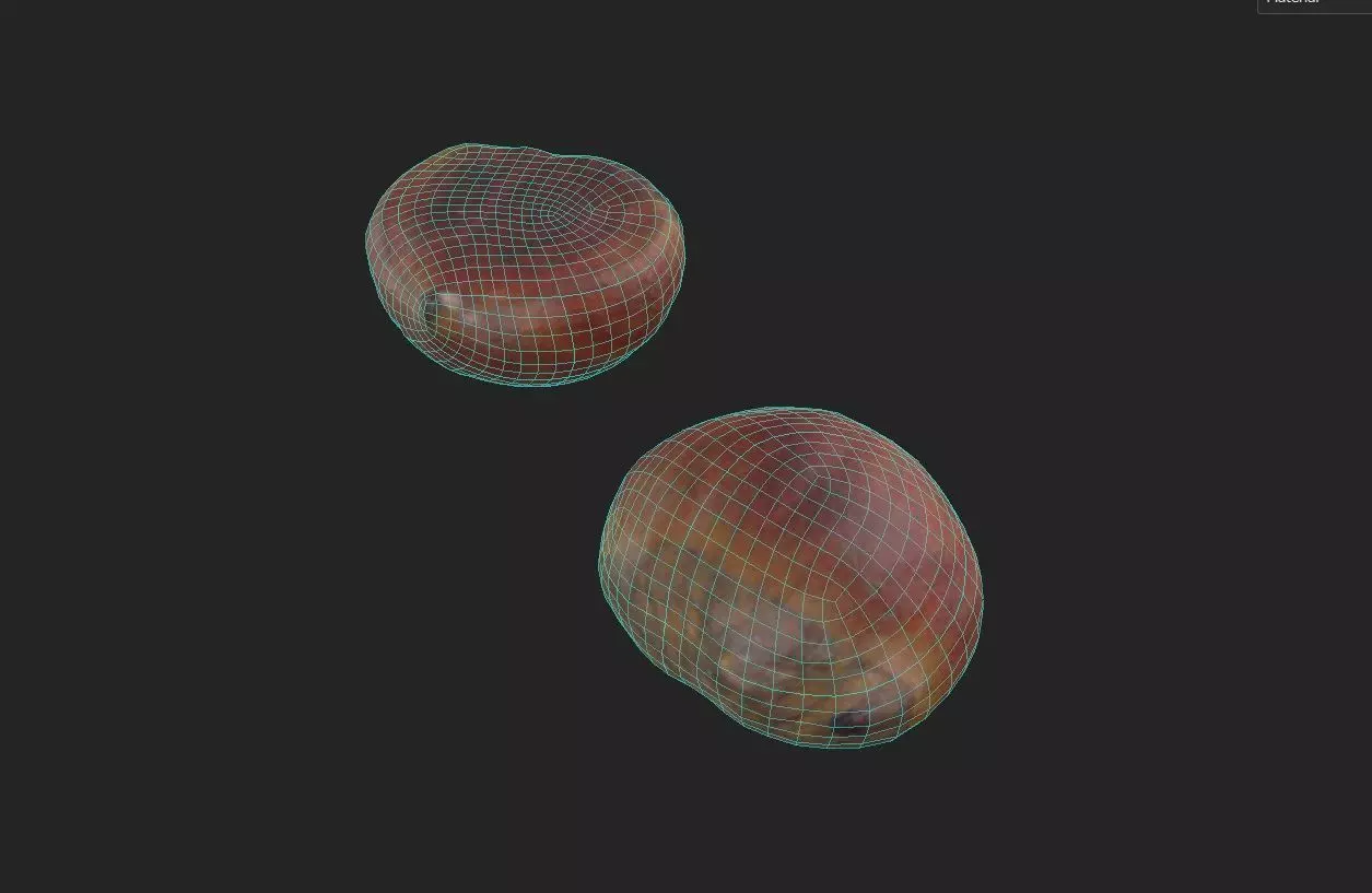 Chestnut M02 Low-poly 3D model_6