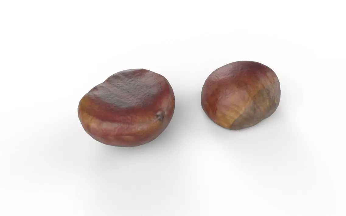 Chestnut M02 Low-poly 3D model_4