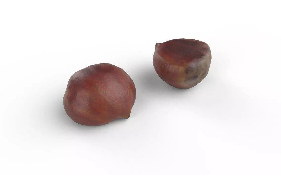 Chestnut M02 Low-poly 3D model_0
