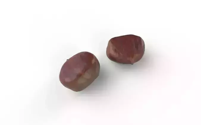 Chestnut M04 Low-poly 3D model 4