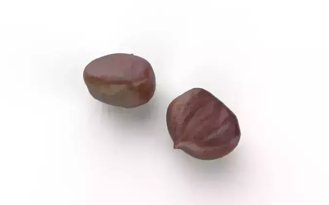 Chestnut M04 Low-poly 3D model 5
