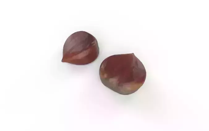 Chestnut M08 Low-poly 3D model 4