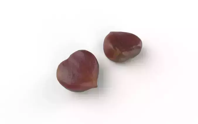 Chestnut M08 Low-poly 3D model 5