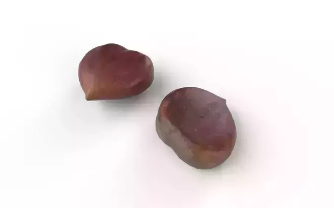 Chestnut M08 Low-poly 3D model 6