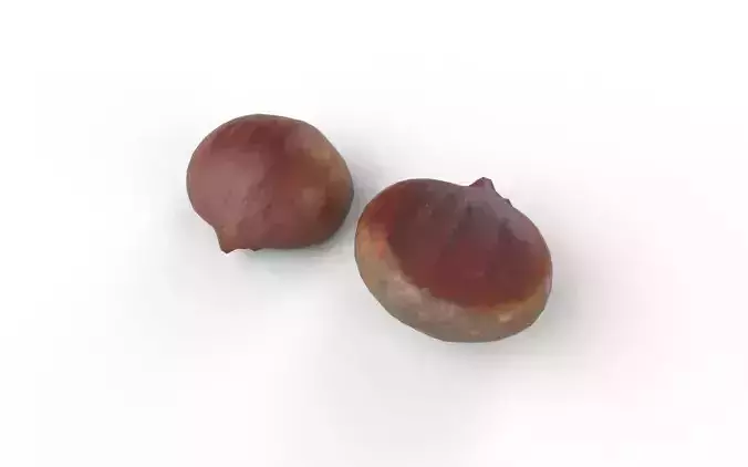 Chestnut M11 Low-poly 3D model 4