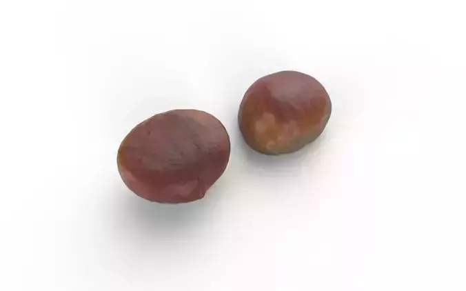 Chestnut M11 Low-poly 3D model 5