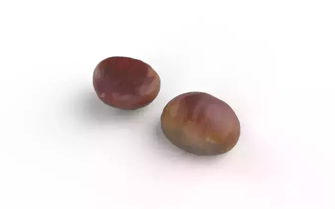Chestnut M11 Low-poly 3D model 6