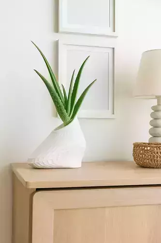 Modern Geometric Flower Pot