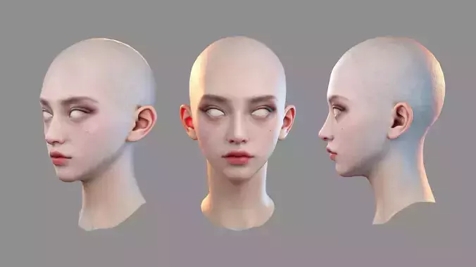 Asia Head Girl Blender NoHair