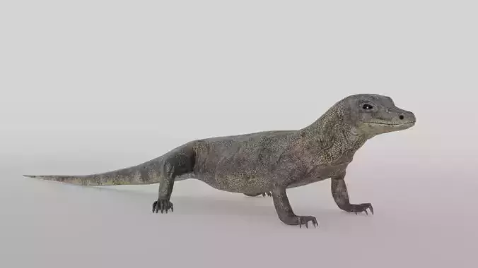 Realistic 3D Lizard