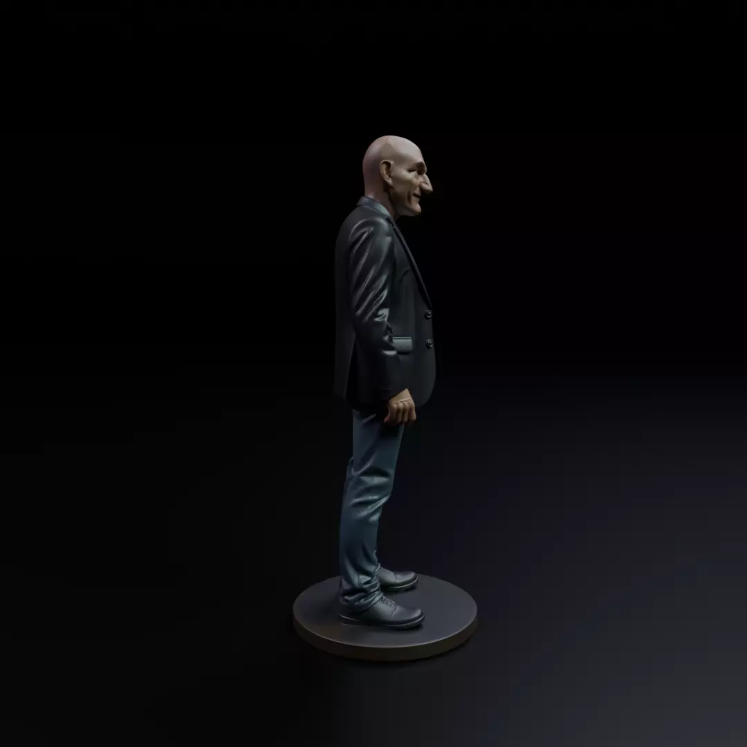 Patrick Stewart 3D print model_2