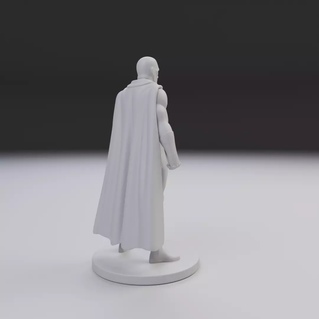vision 3D print model_13