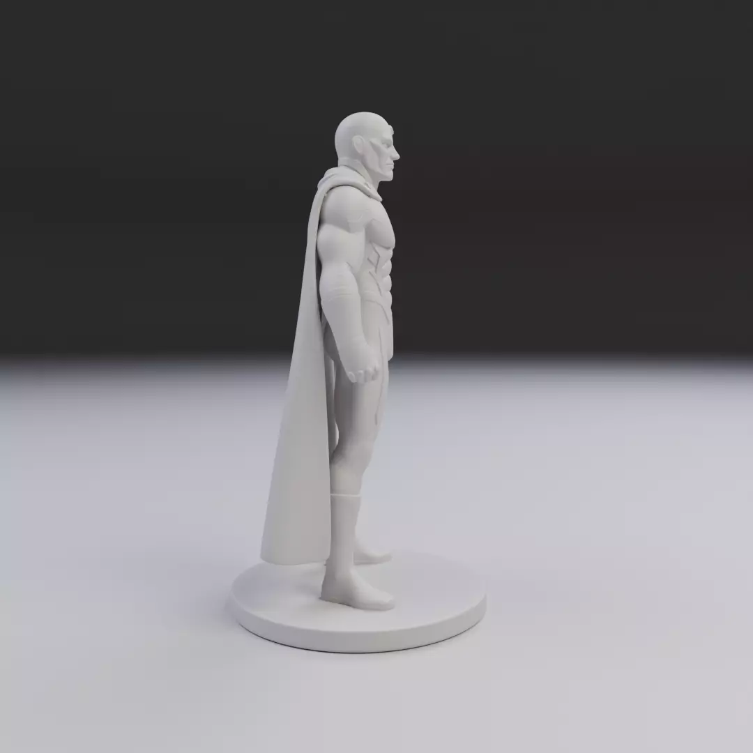 vision 3D print model_1