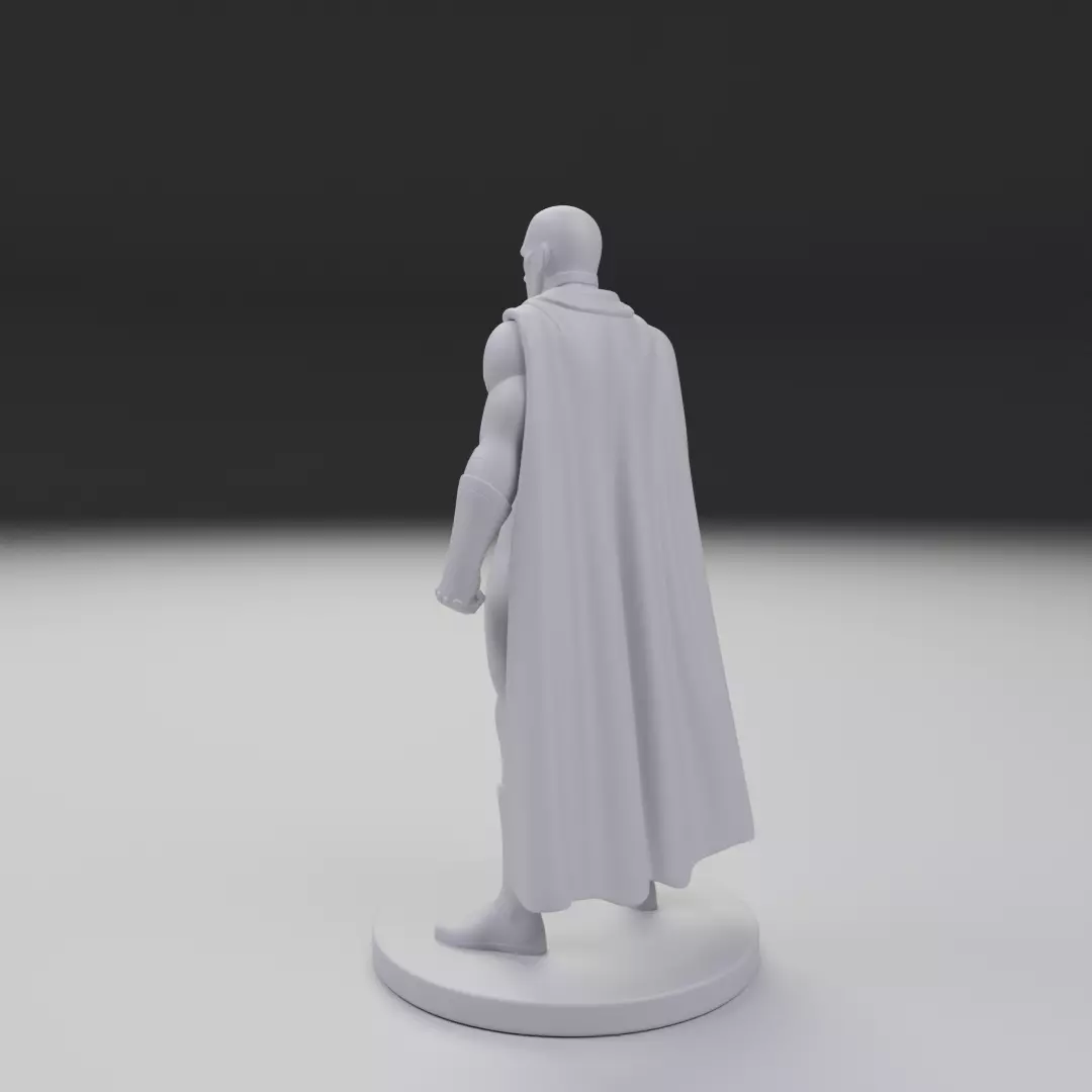 vision 3D print model_7