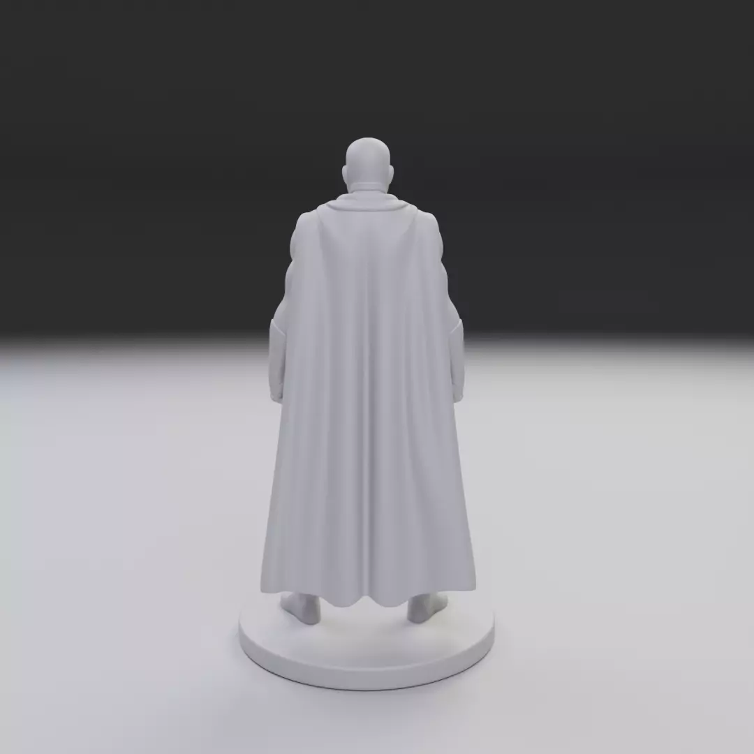 vision 3D print model_5