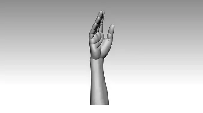 HAND for 3d print