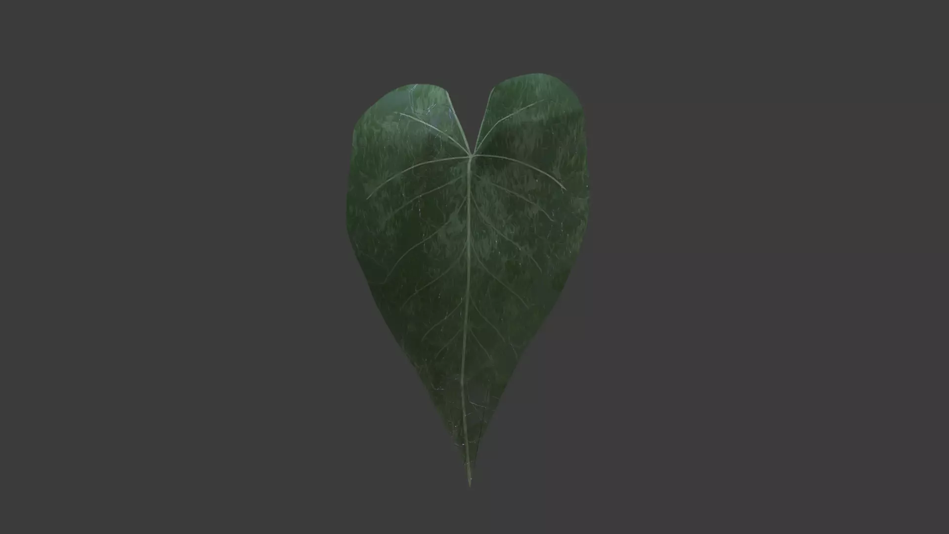 Elements of Nature 3D model_4