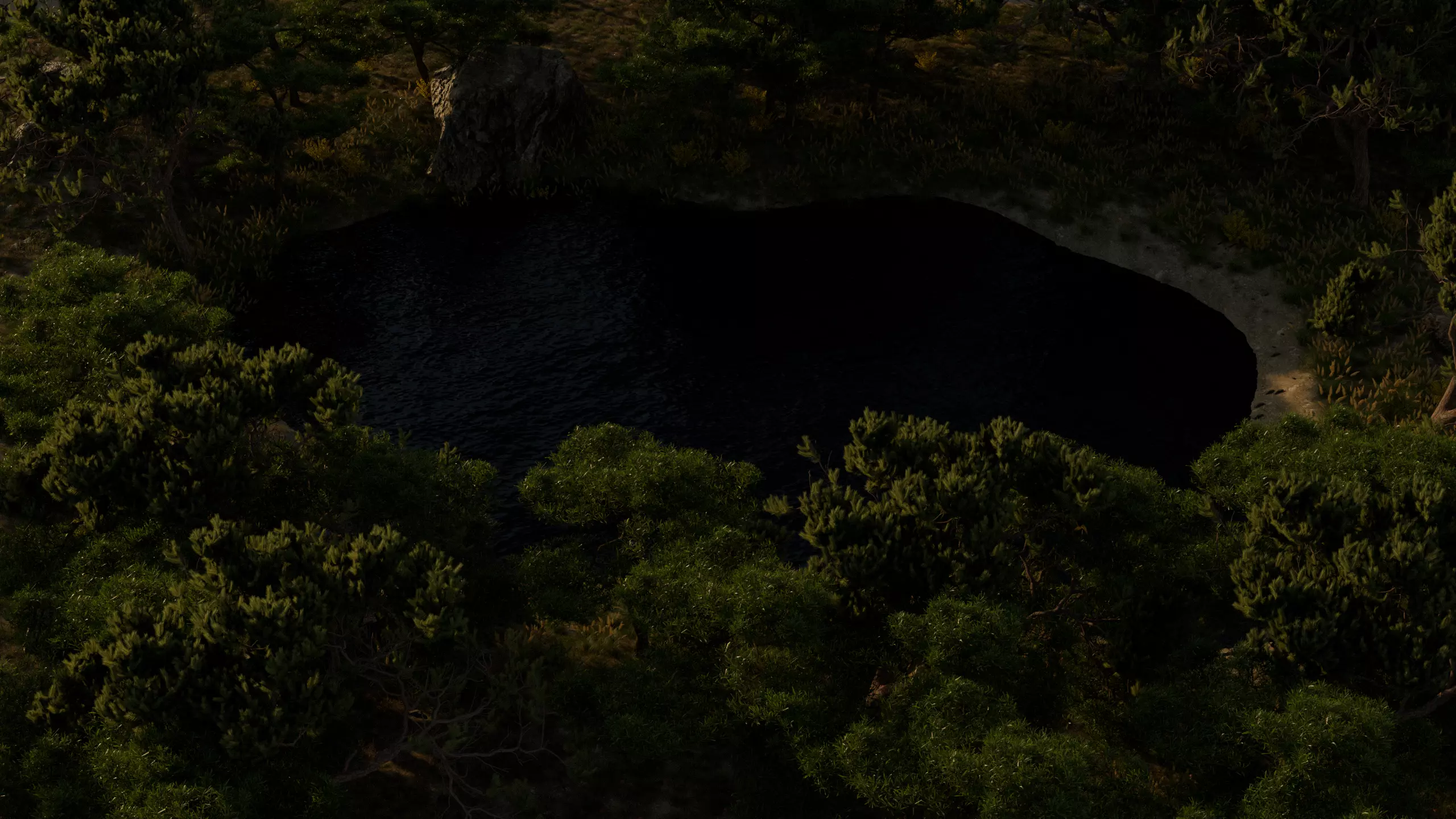 Lake in the forest 3D model_5