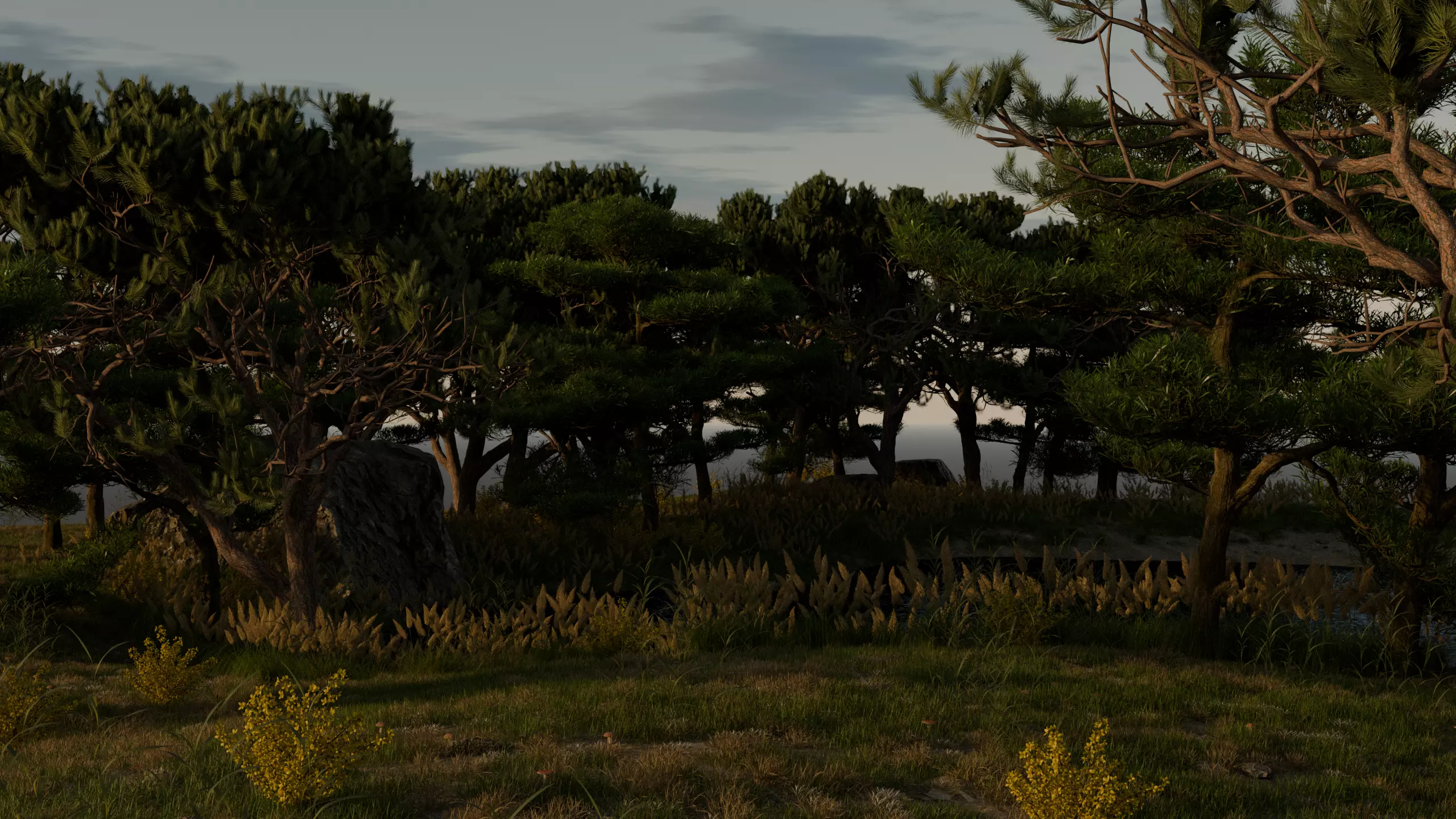 Lake in the forest 3D model_2