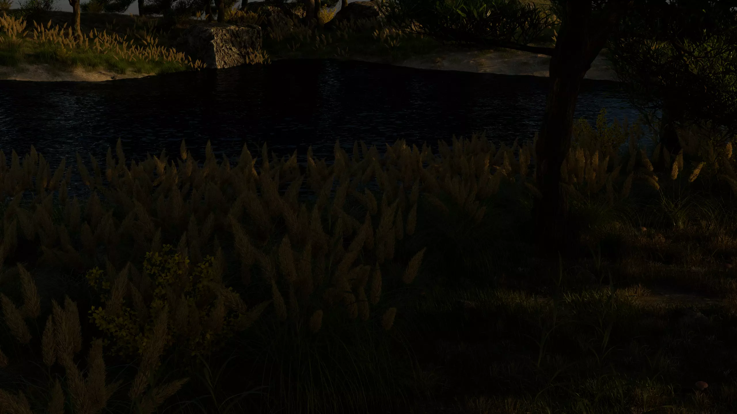 Lake in the forest 3D model_6