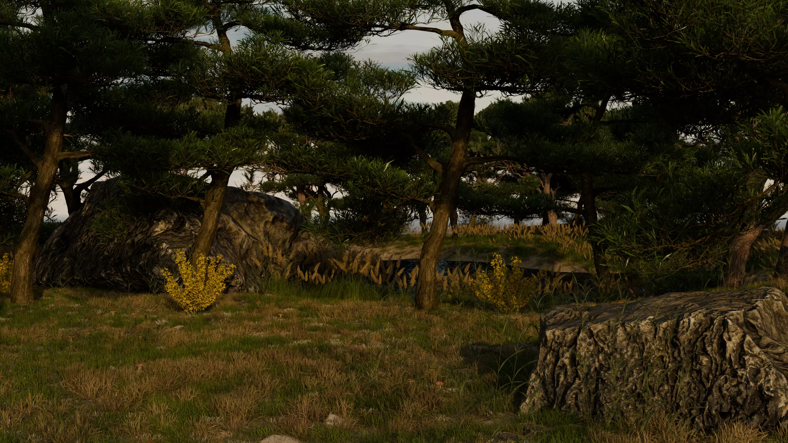 Lake in the forest 3D model_4