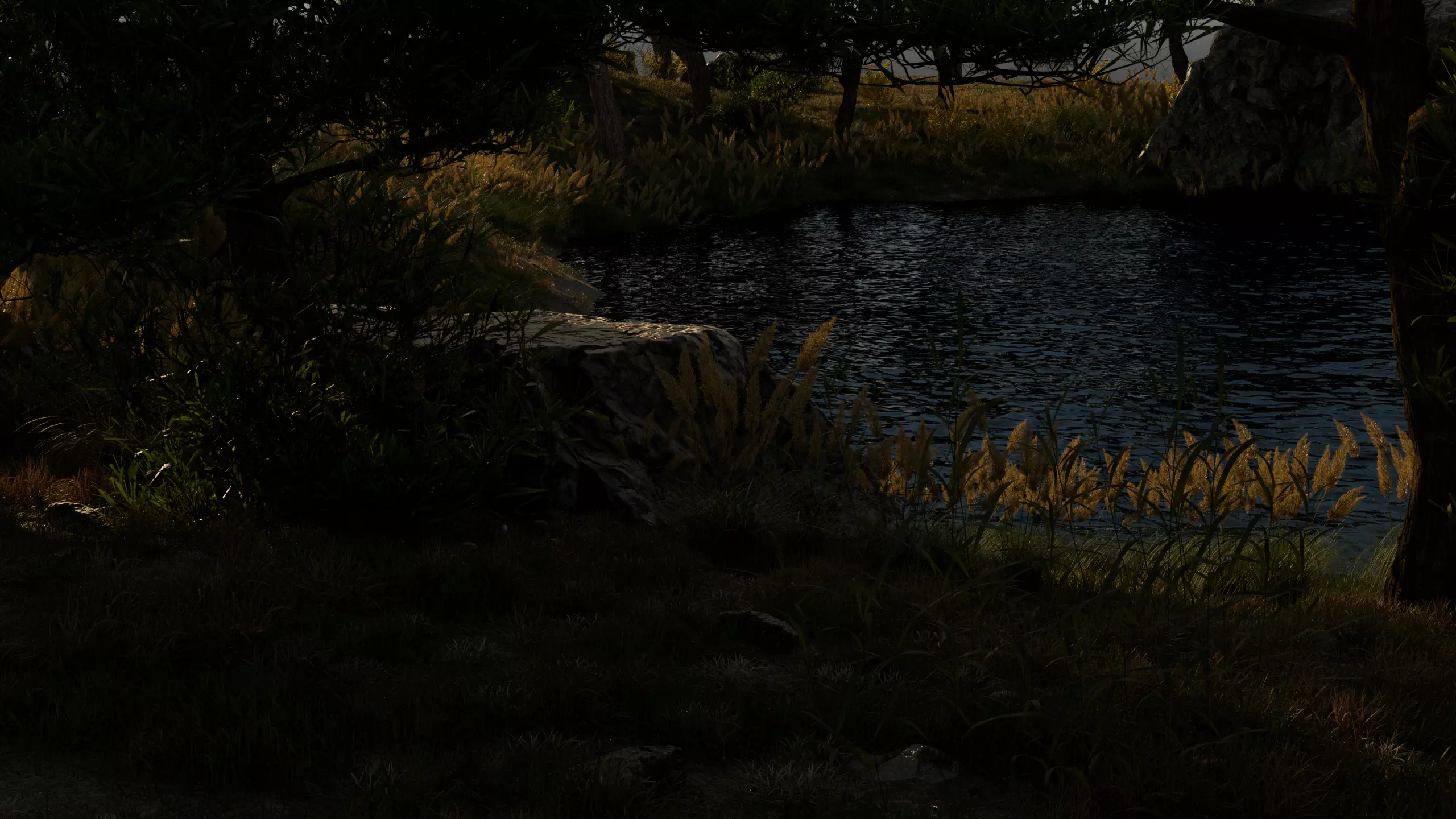 Lake in the forest 3D model_3