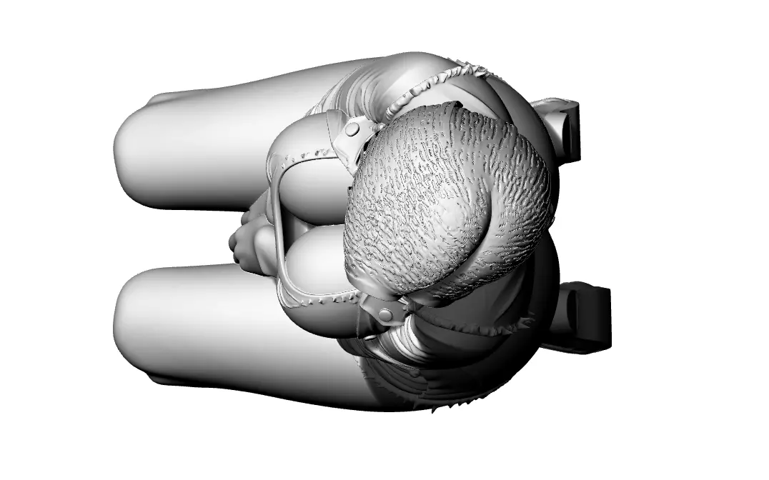 Lady Brav 3D print model_4