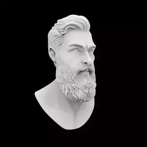 Bearded Man Bust 3D Print Model