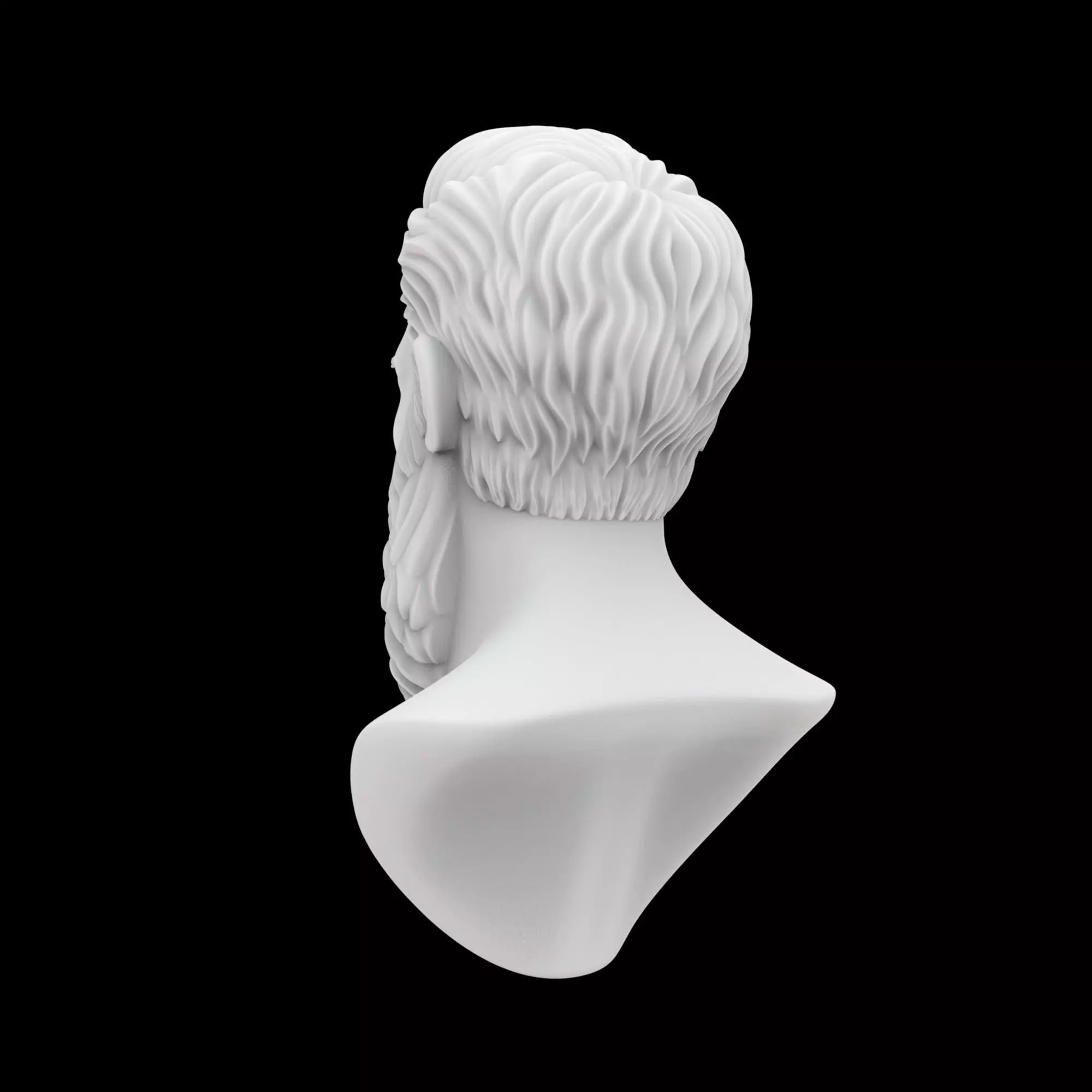 Bearded Man Bust 3D Print Model 3D print model_2
