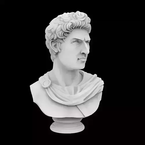 Classic Bust 3D Print Model