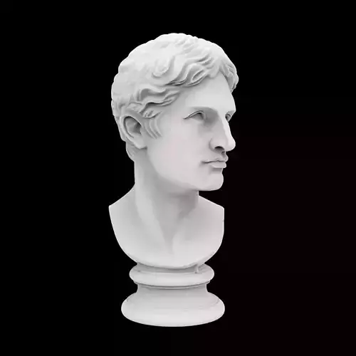 Classic Bust D 3D Print Model