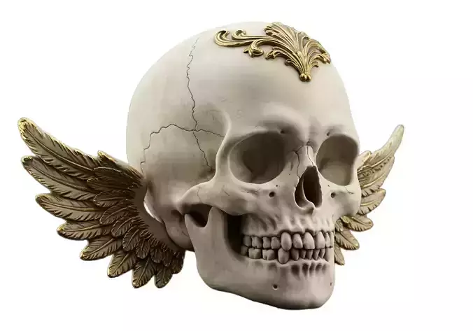 A Detailed Skull with Ornate Crown and Wings 3D print model
