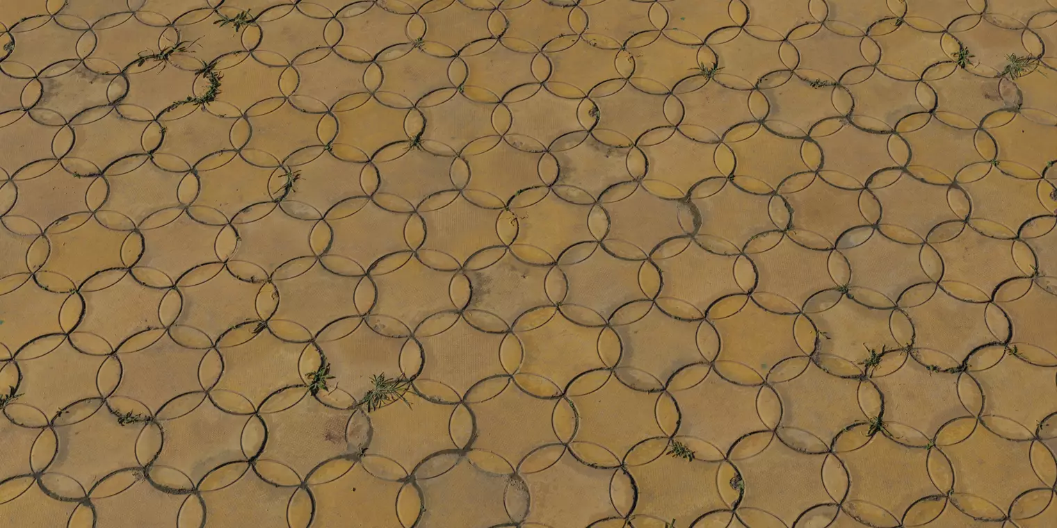 Interlocking Circle Pavers with Weeds Texture_1