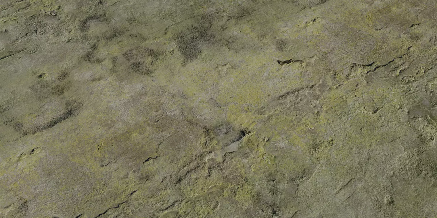 Mossy Aged Plaster Wall Texture_1